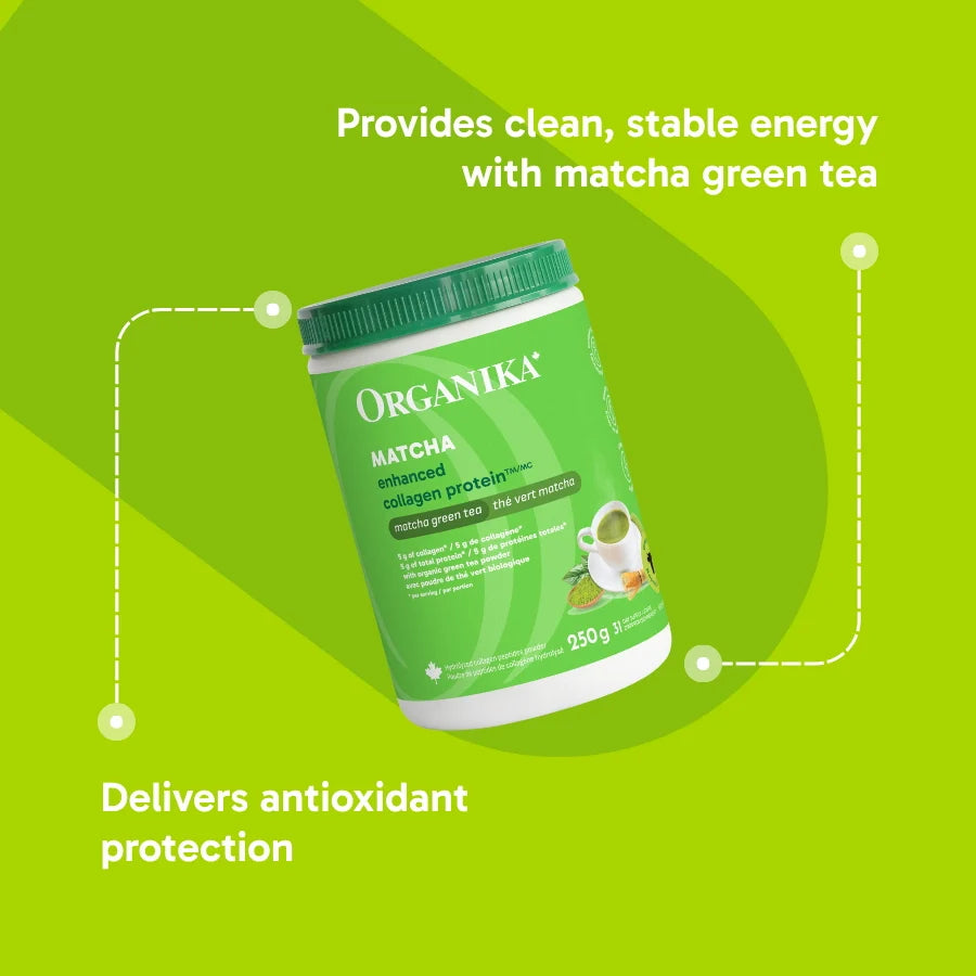 Protéine de collagène Matcha améliorée — 250 g | Organika
