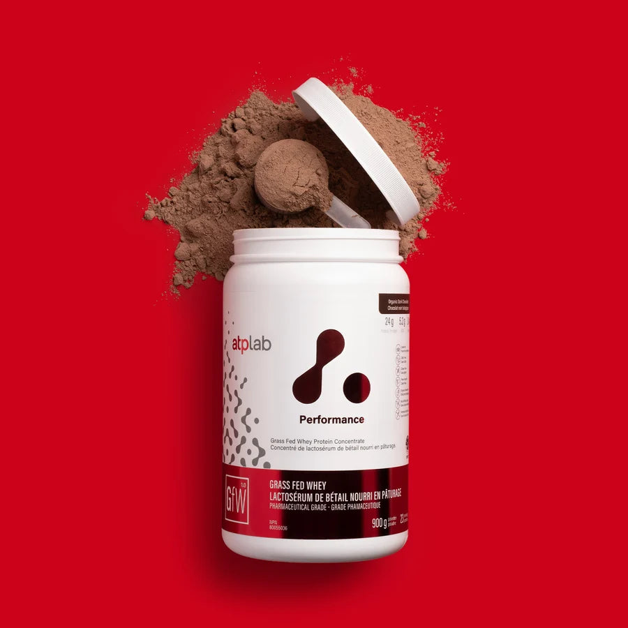 Concentré de protéines de lactosérum nourri à l'herbe-Grass Fed Whey Chocolat Noir Biologique — ATP Lab