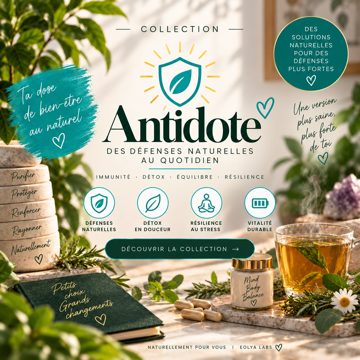 Journal 7 jours — Antidote | PDF gratuit