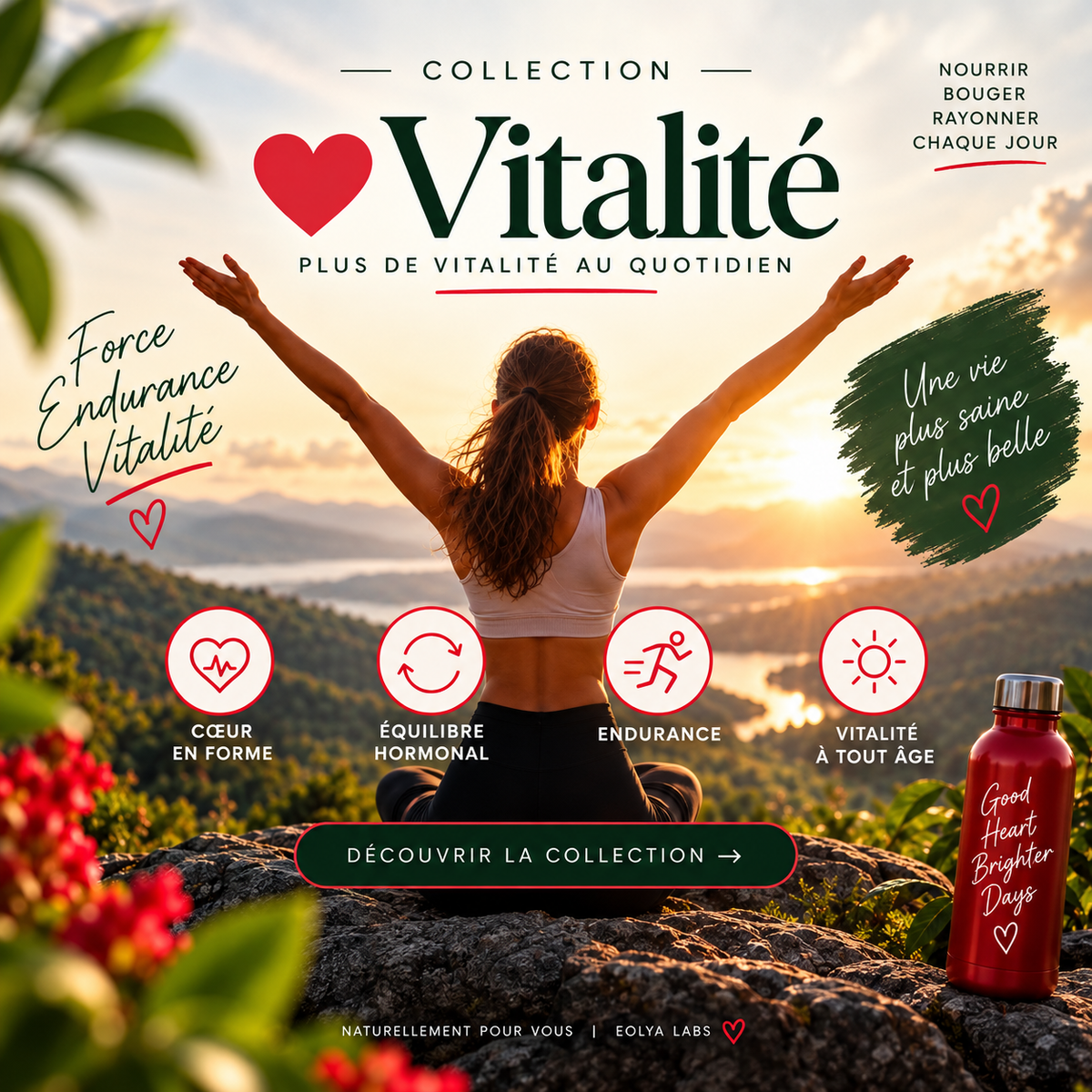 Journal 7 jours — Vitalité | PDF gratuit