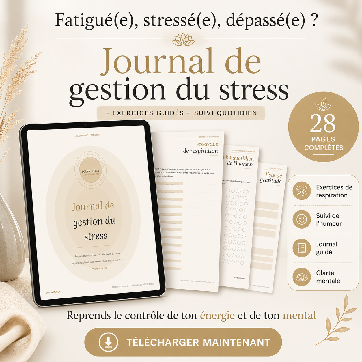 Journal de gestion du stress-28 pages